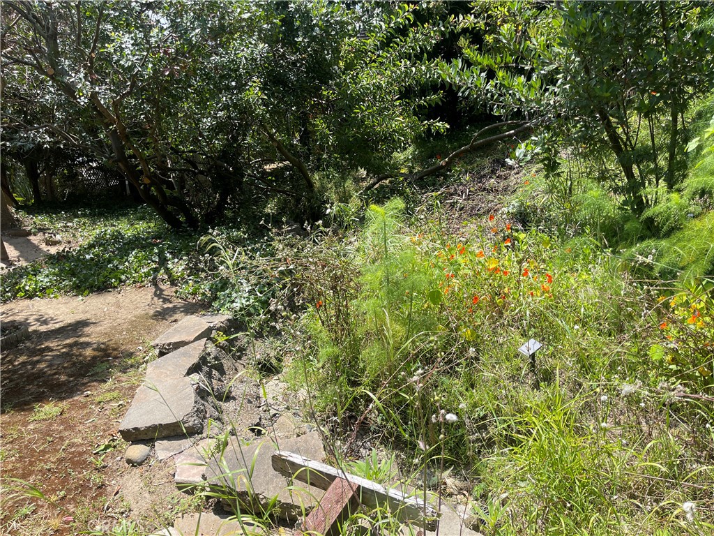 OC26129323 Property Photo 52