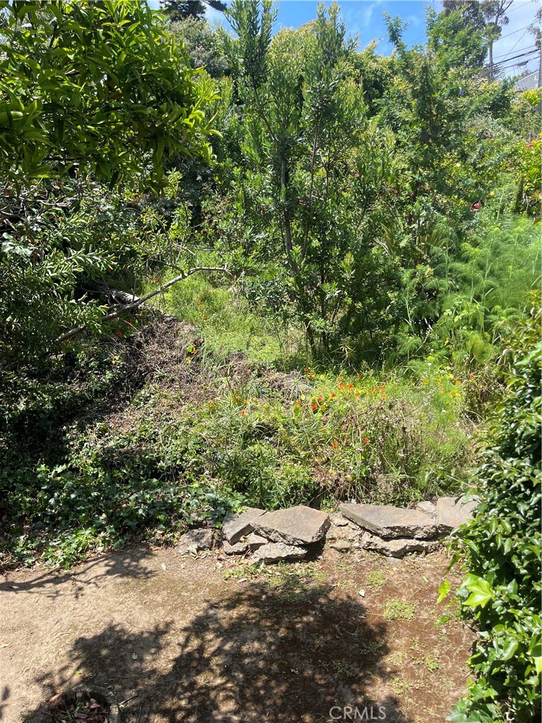 OC26129323 Property Photo 54