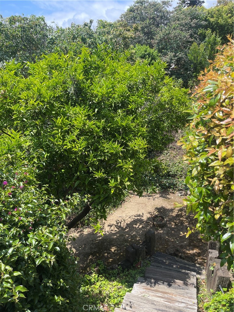 OC26129323 Property Photo 57