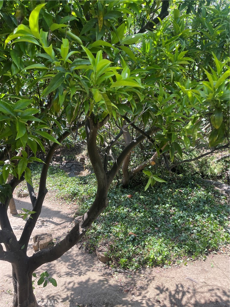 OC26129323 Property Photo 58
