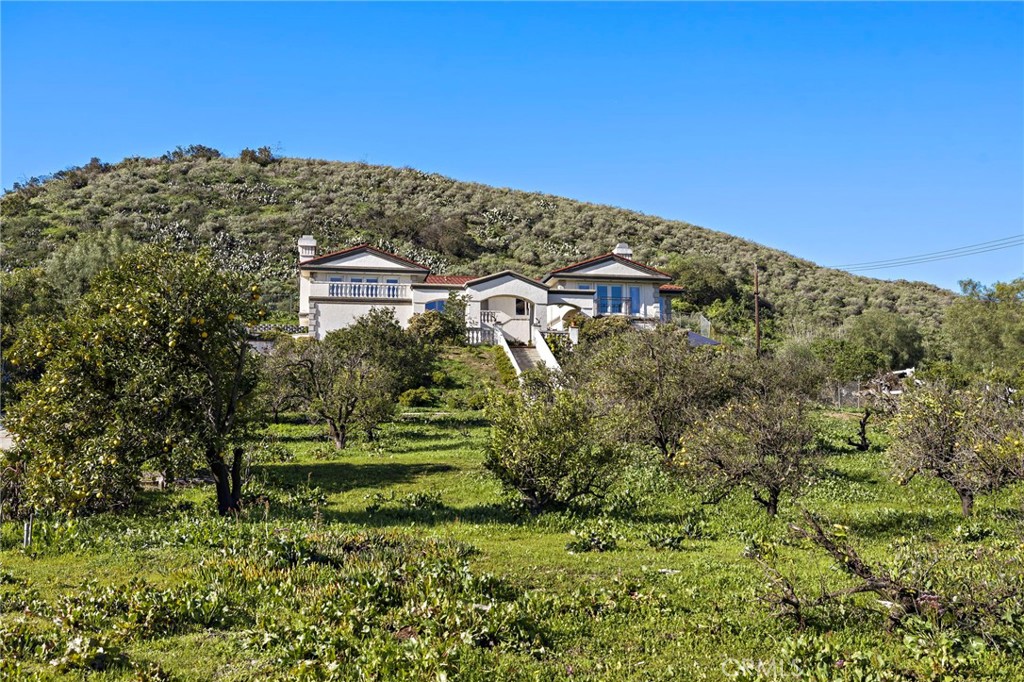 11031 Meads Property Photo 1