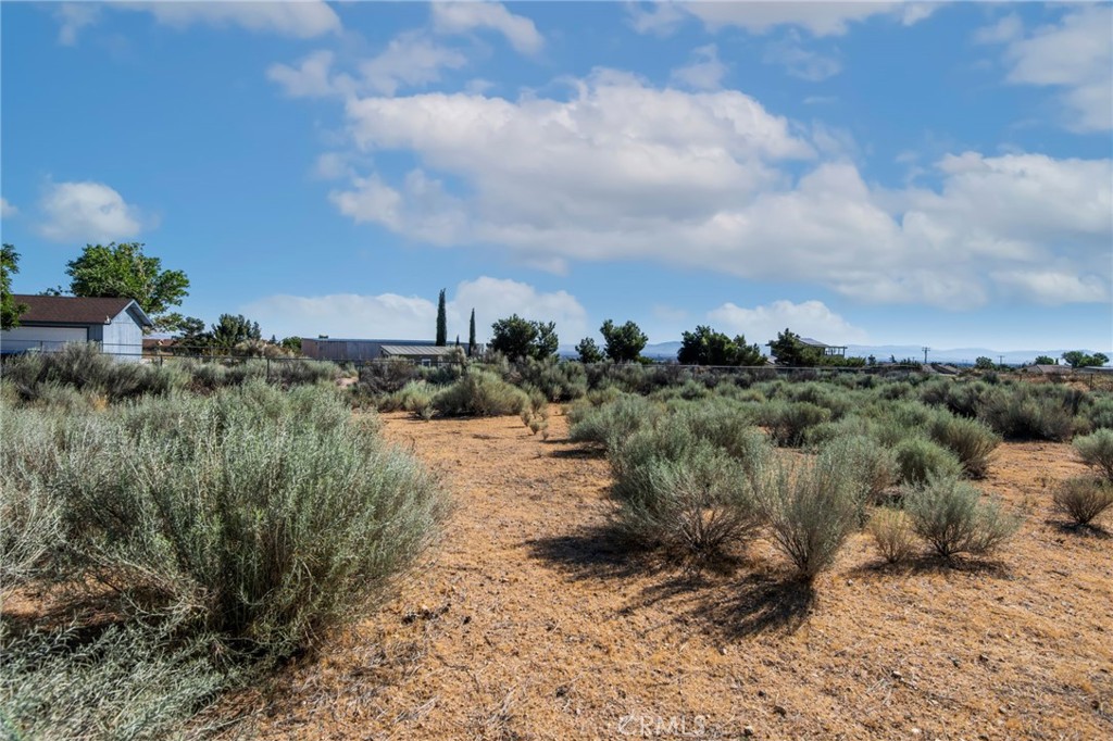 8623 Gobi Road Property Photo 31