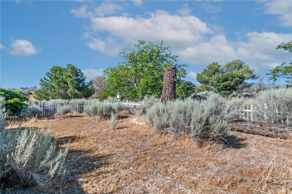 8623 Gobi Road Property Photo 34