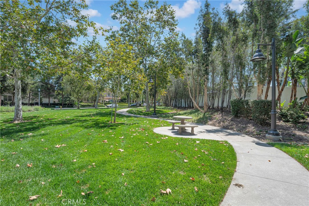 88 Nature Property Photo 31