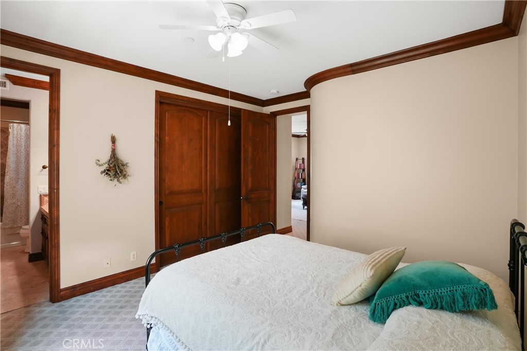 27532 Calle De La Rosa Property Photo 57