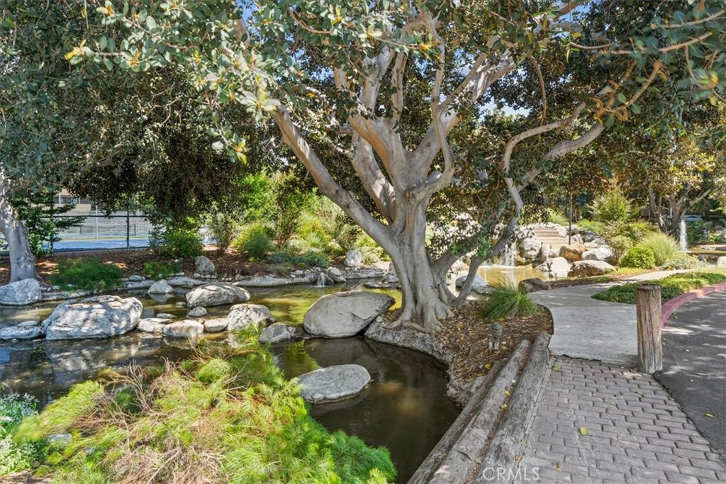 208 Springview Property Photo 28
