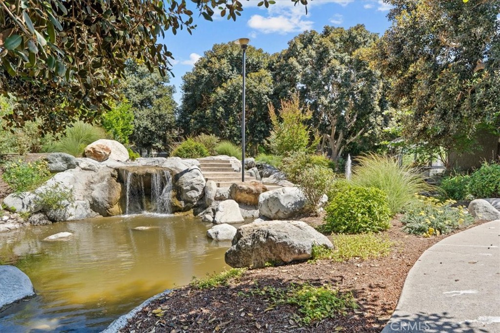 208 Springview Property Photo 33