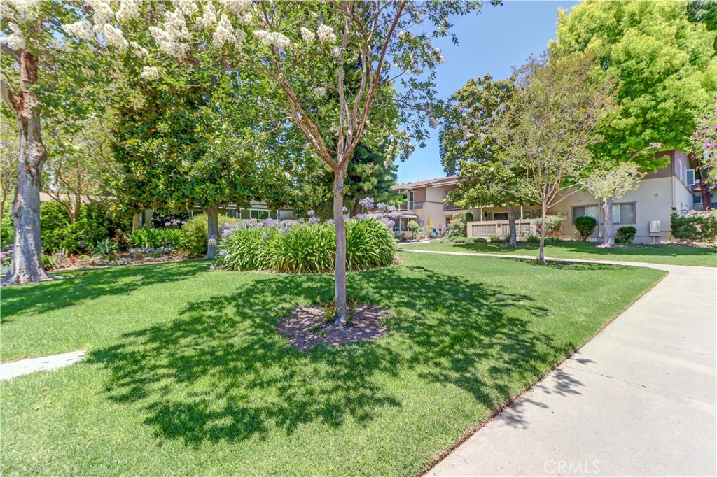 524 Calle Aragon N Property Photo 2