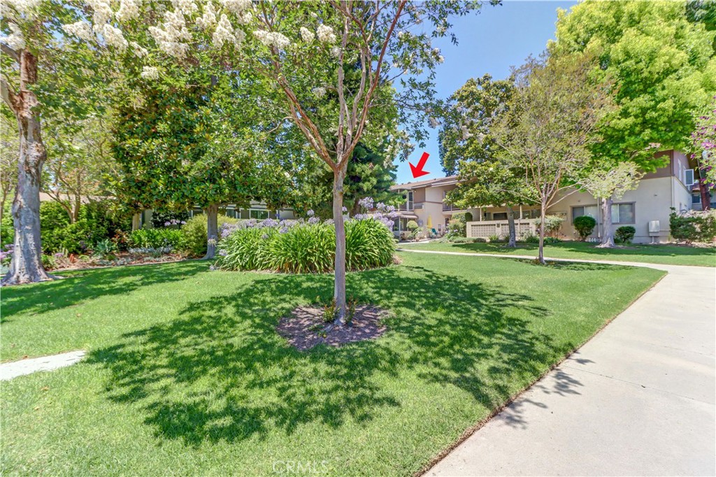 524 Calle Aragon N Property Photo 3