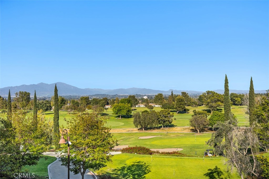 185 Avenida Majorca O Property Photo 25