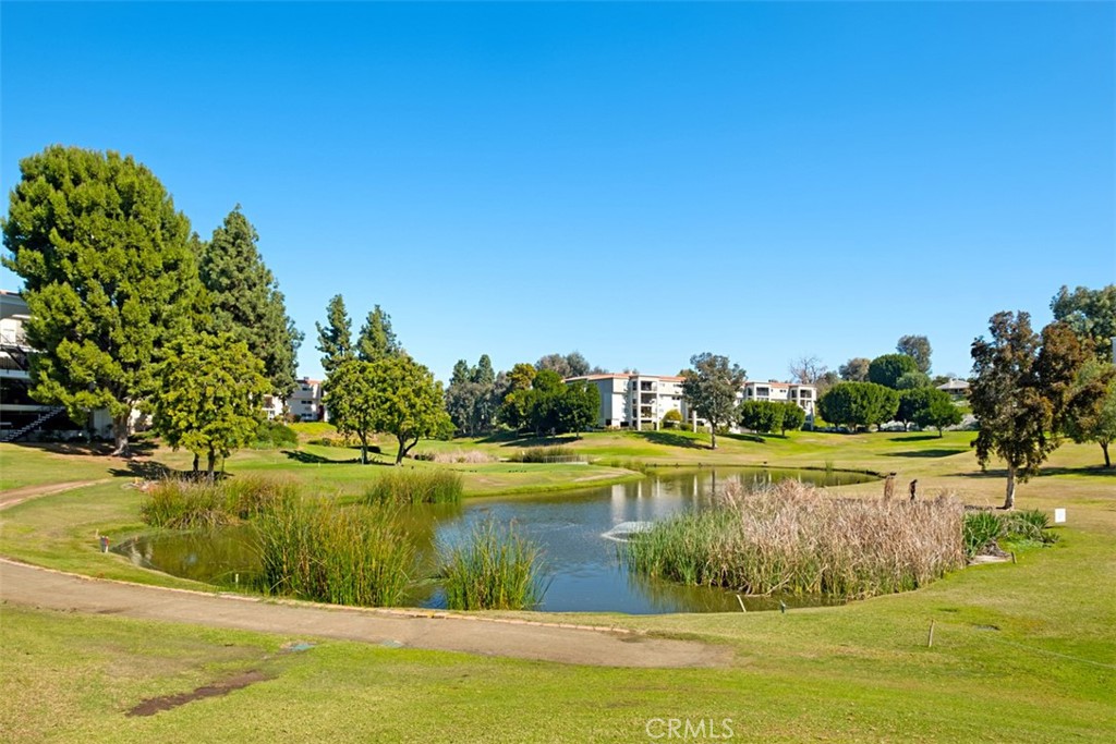 185 Avenida Majorca O Property Photo 32