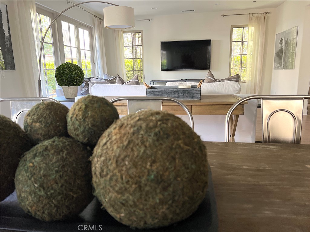 202 Via Galicia Property Photo 14