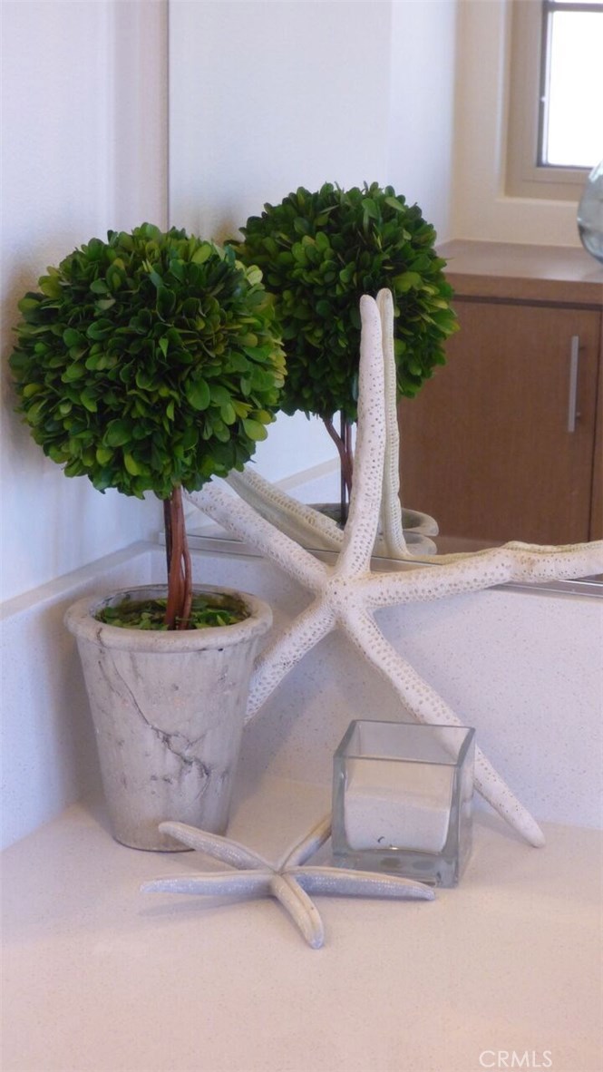 202 Via Galicia Property Photo 40