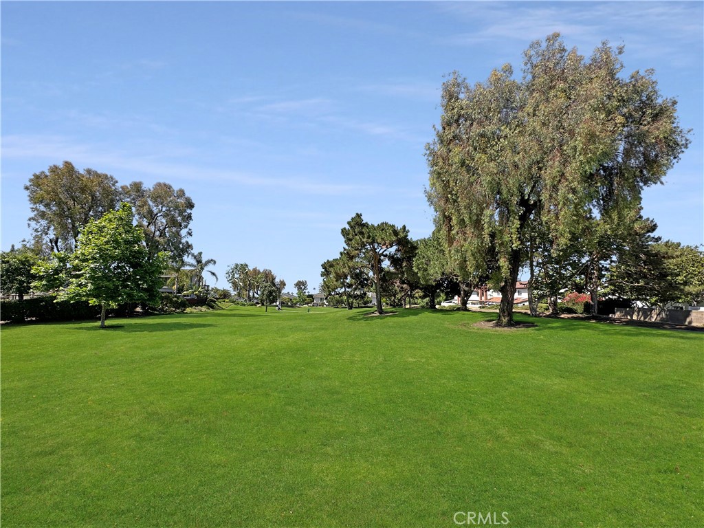 3334 Calle La Veta Property Photo 44