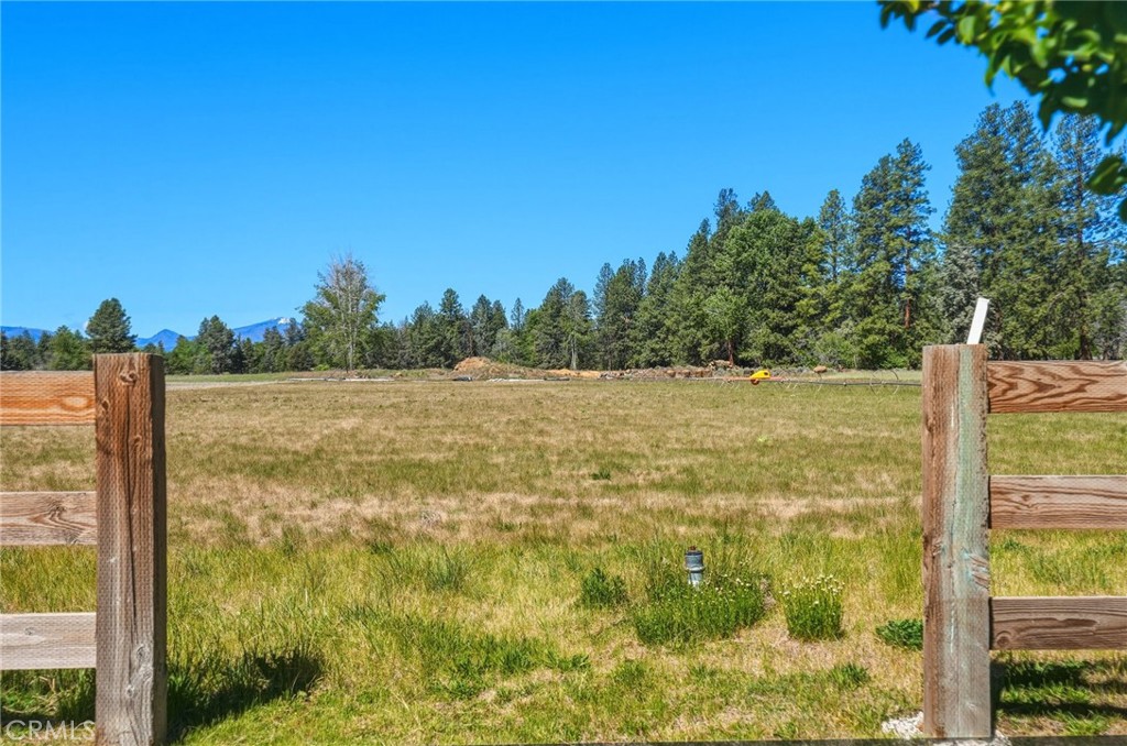 17186 Highway 126 Property Photo 10