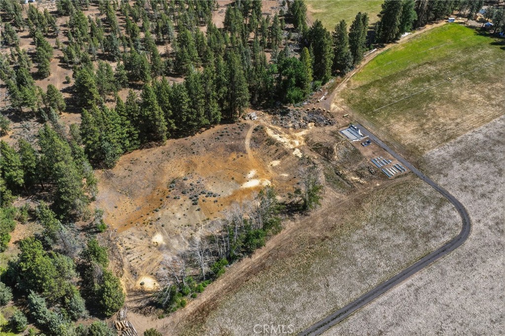 17186 Highway 126 Property Photo 44