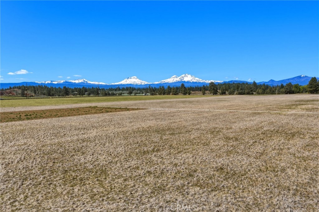 17186 Highway 126 Property Photo 45