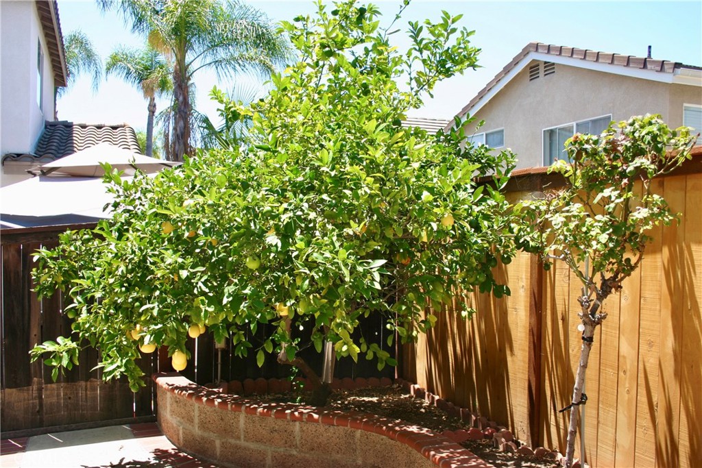 27 Tradition Property Photo 32