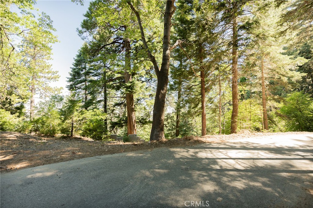 746 Blue Ridge Drive Property Photo 4
