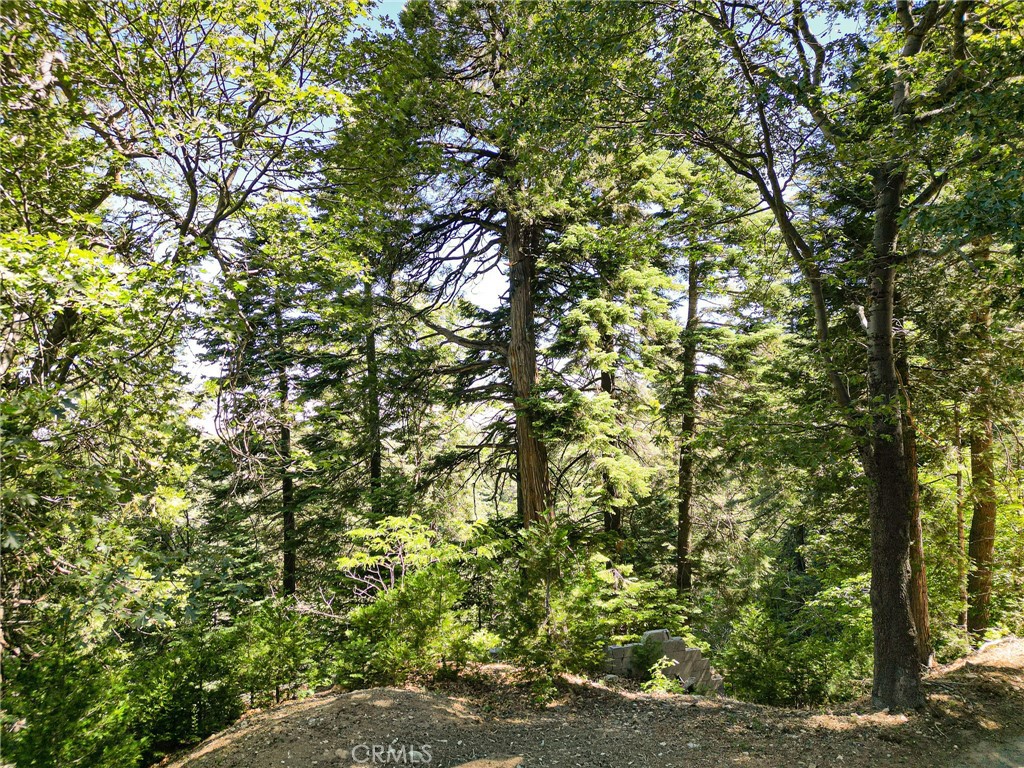 746 Blue Ridge Drive Property Photo 11