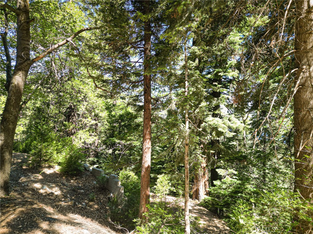746 Blue Ridge Drive Property Photo 12