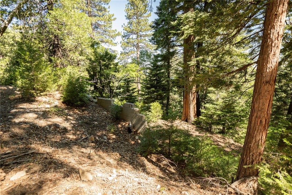 746 Blue Ridge Drive Property Photo 14