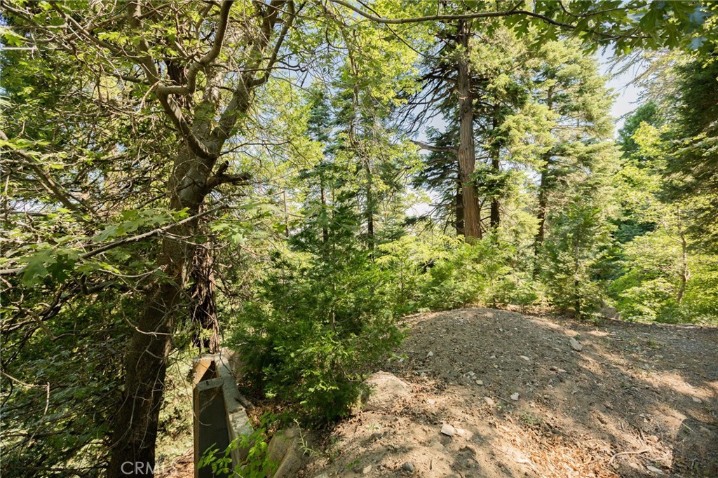 746 Blue Ridge Drive Property Photo 15