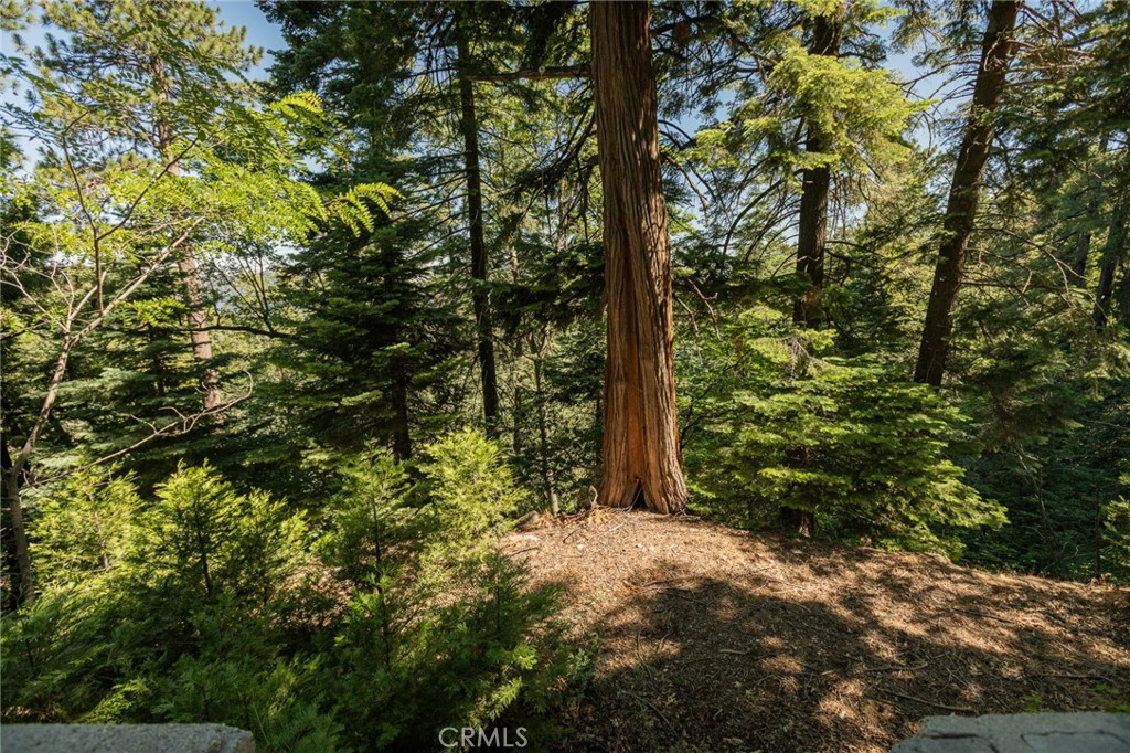 746 Blue Ridge Drive Property Photo 17