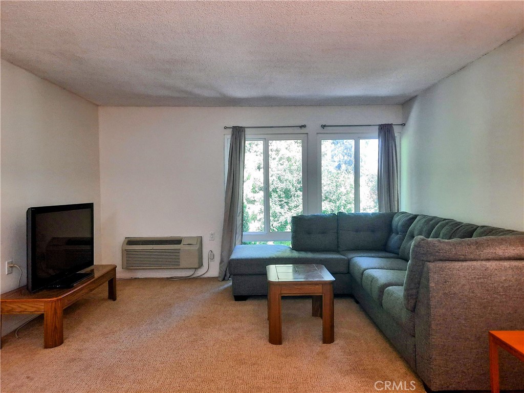 2233 Via Puerta N Property Photo 5