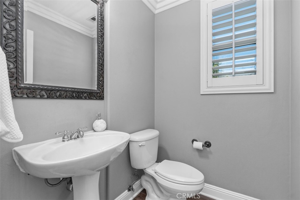 12 Globe Lane Property Photo 34