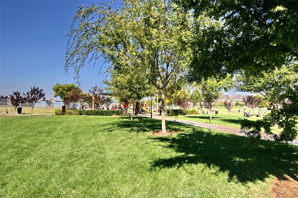 12 Globe Lane Property Photo 42