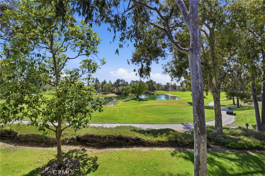 16 Via Solaz Property Photo 1