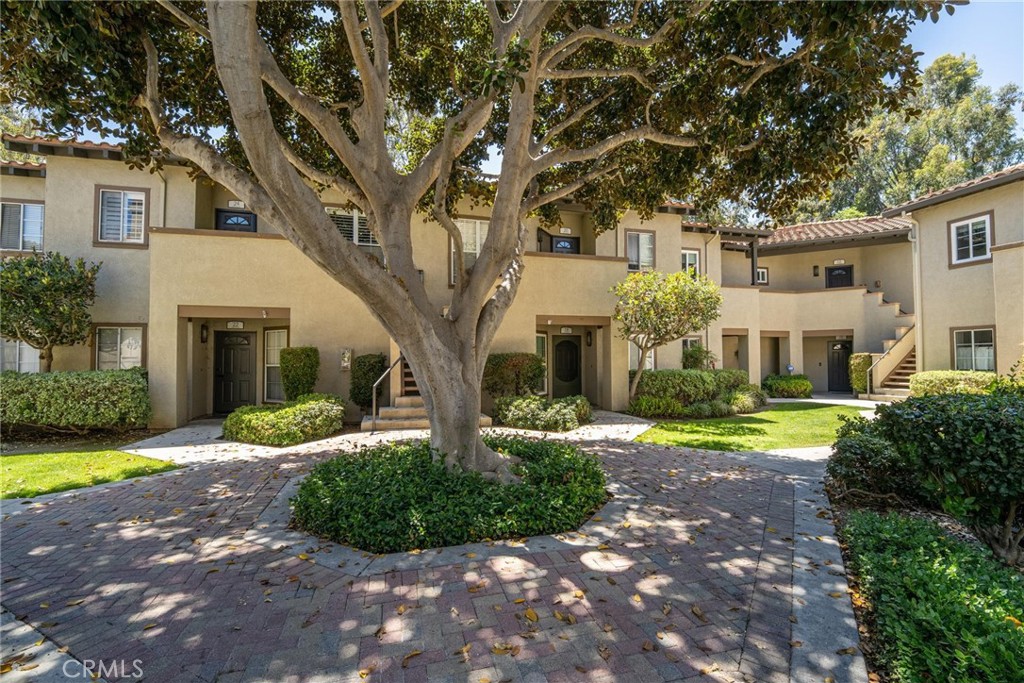 16 Via Solaz Property Photo 22