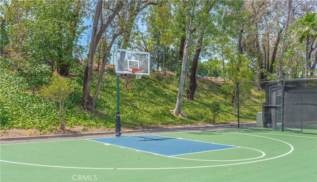 24575 Copper Cliff Court 7 Property Photo 38