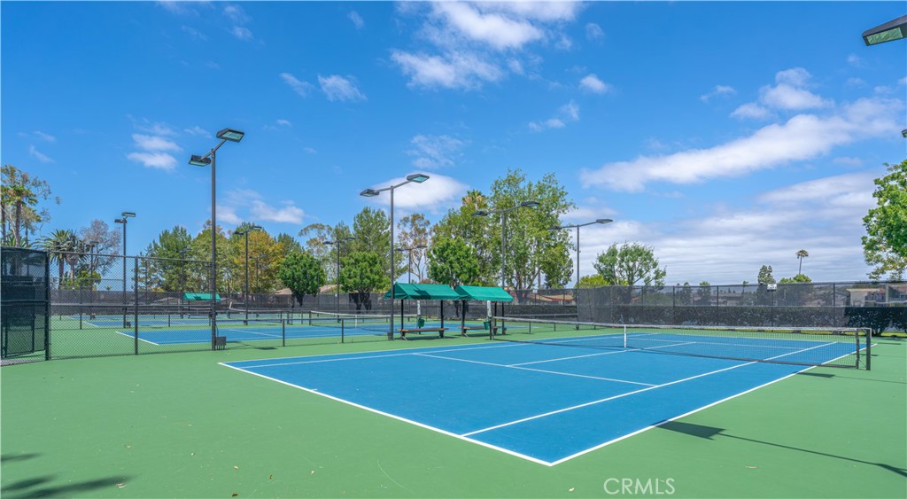 24575 Copper Cliff Court 7 Property Photo 39
