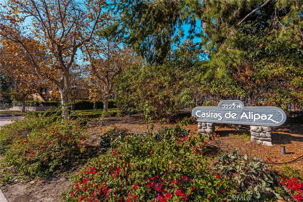 32221 Alipaz 267 Property Photo 6