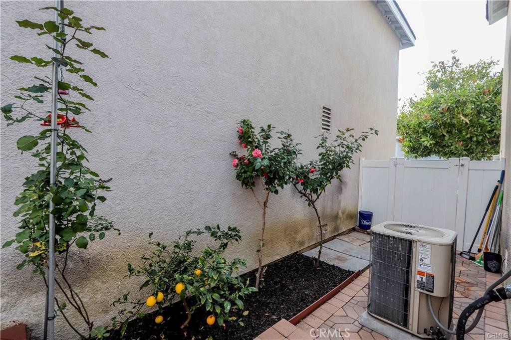 11 Mondrian Property Photo 27