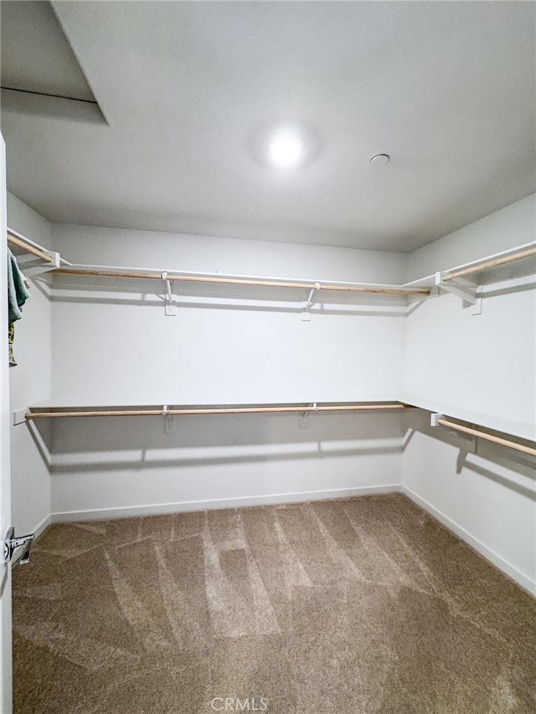 36849 Diego Springs Property Photo 32