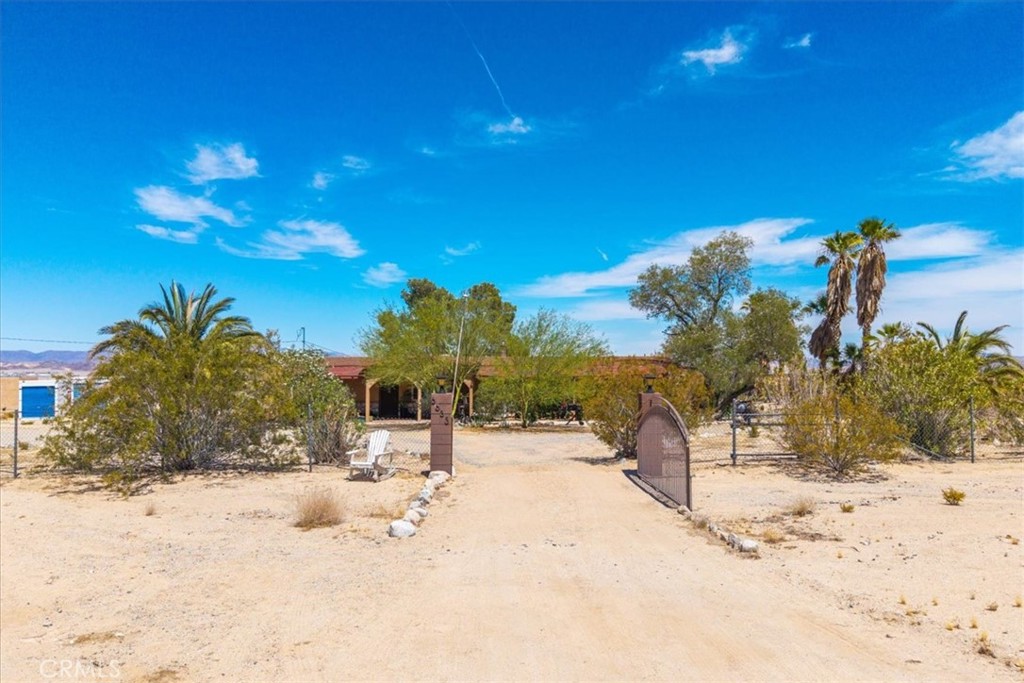 3633 Bluegrass Property Photo 4