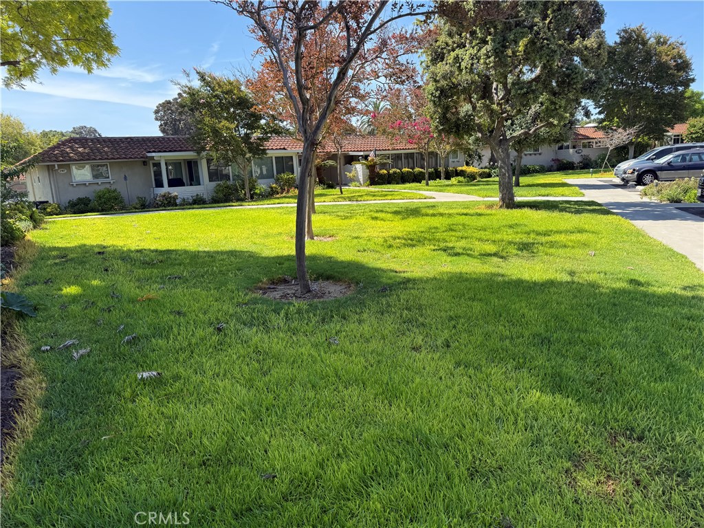 2186 Via Mariposa E E A Property Photo 3