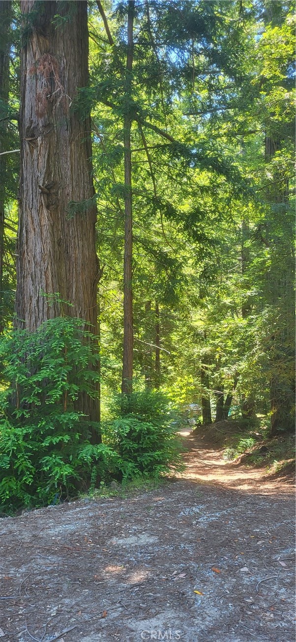 0 Palm Cutof Property Photo 1