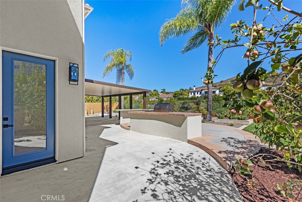 28142 Pacifica Del Mar Property Photo 45