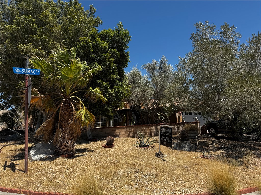 12030 Sumac Property Photo 11