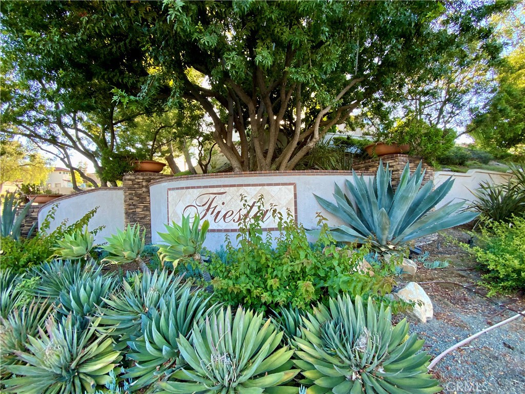 54 Paseo Viento Property Photo 33