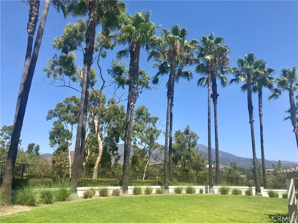 54 Paseo Viento Property Photo 38
