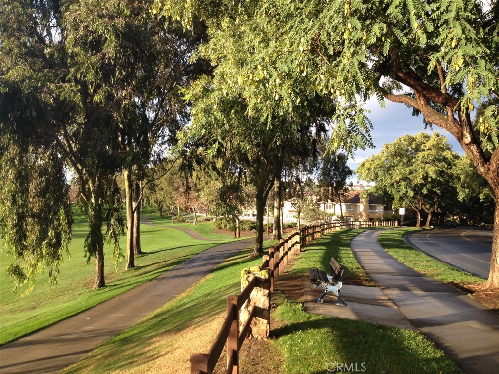 54 Paseo Viento Property Photo 47