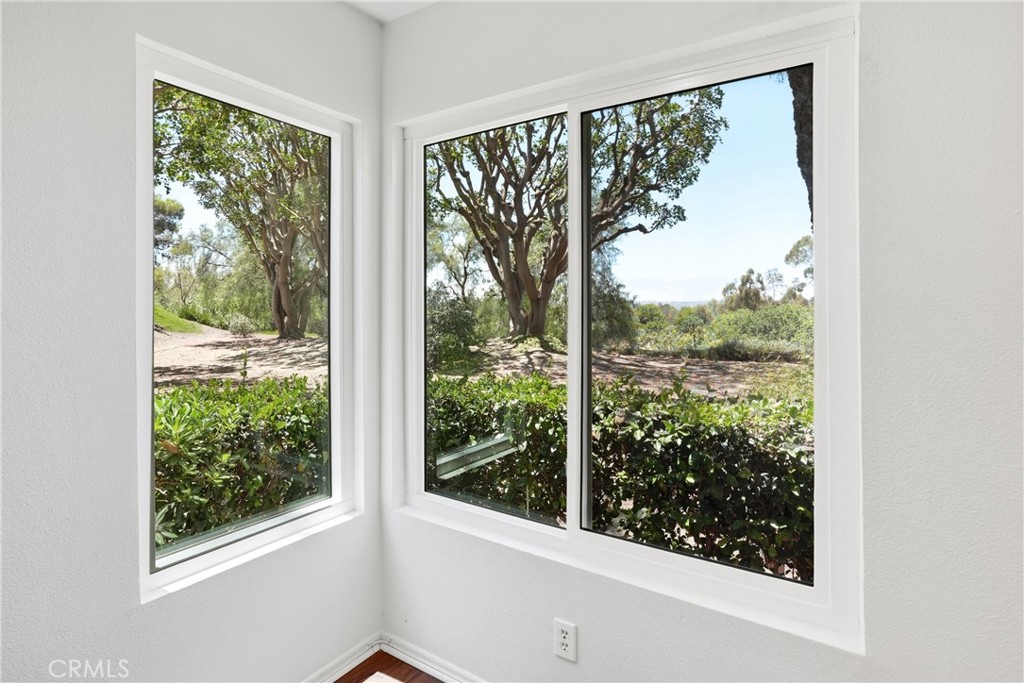 29121 Via Cerrito Property Photo 21