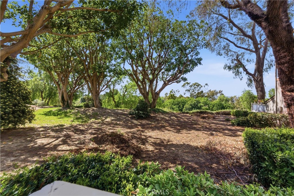 29121 Via Cerrito Property Photo 29