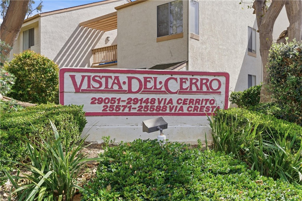 29121 Via Cerrito Property Photo 33