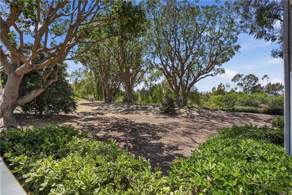 29121 Via Cerrito Property Photo 34